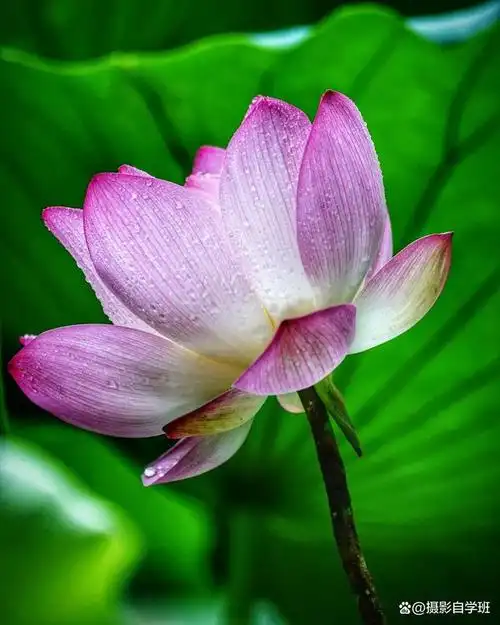 640_800竖版 竖屏