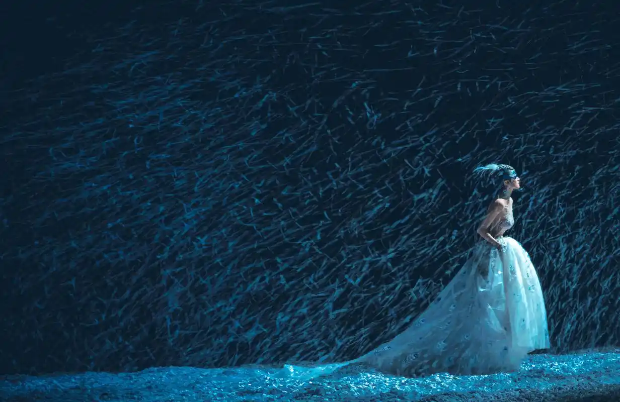 "孔雀之灵"捎来暖意,舞蹈镌刻在杨丽萍的生命里