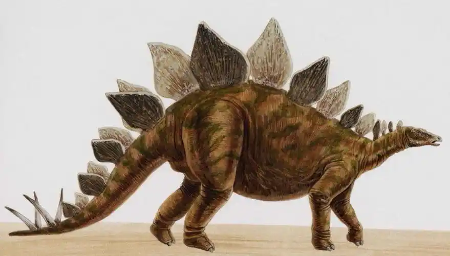 恐龙的世界如同男孩的世界,我不知道是不是每个男孩心中都有一个