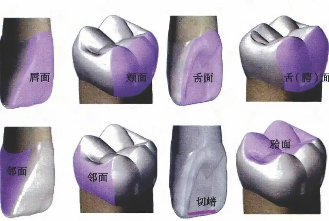 仅用于学习交流,禁止用于商业用途.#牙齿 - 抖音