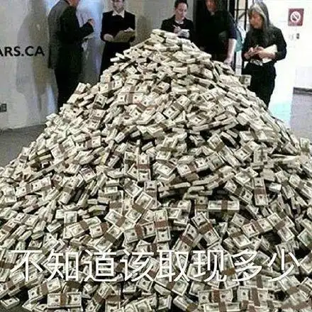 钱太多不知道该装多少零钱表情包