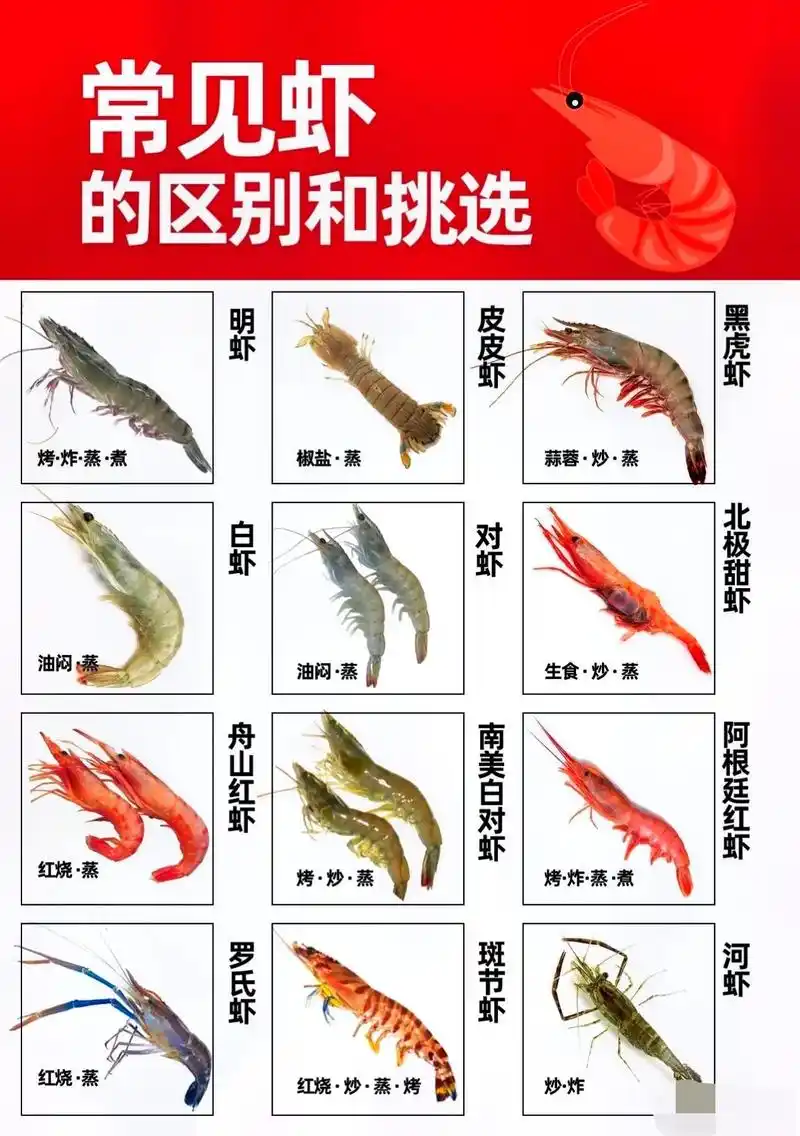 虾#科普一下 #大虾 #经验分享 #南美白对虾 ##海鲜知识 - 抖音