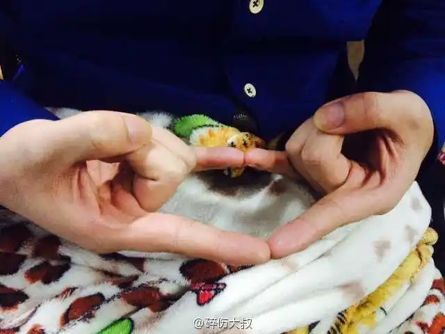 道家八大神咒之金光神咒修法