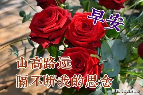 原创2021年早上好祝福图片最美早安问候语录问候