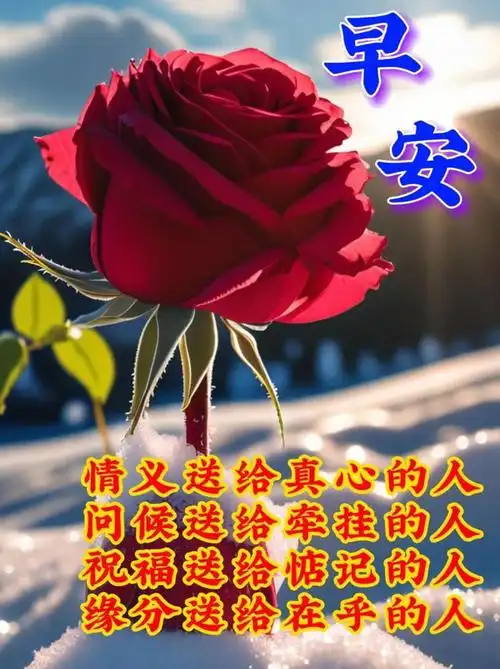 11月17日早安漂亮图片问候祝福语|快乐|清晨|晨曦|幸福|早上好_网易订