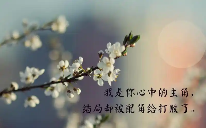 心痛心凉了的说说图片