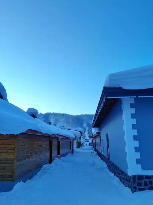 雪乡夜景真的太美了#中国雪乡景色 #北国风光 - 抖音
