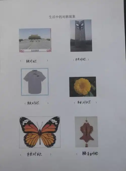 生活中的对称现象