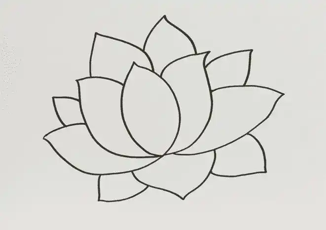 简笔画 植物简笔画 简单好看的荷花简笔画画法步骤教程   荷花又名