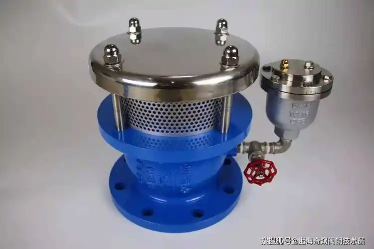 双相不锈钢真空破坏自动排气阀_空气_压力_弥合