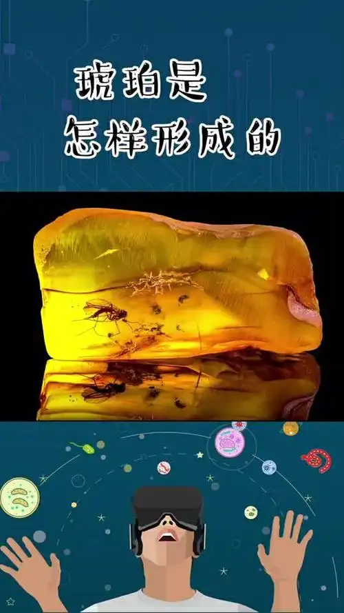 真正的琥珀形成过程原来这么复杂!