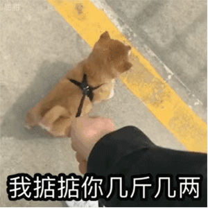 沙雕表情包你的宝贝突然出现