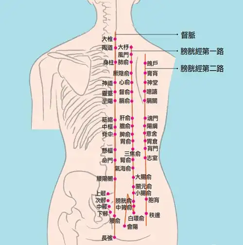 推揉按点拍 放松脊背护脏腑