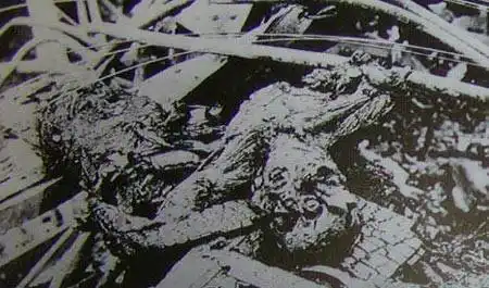 张作霖被炸现场罕见照