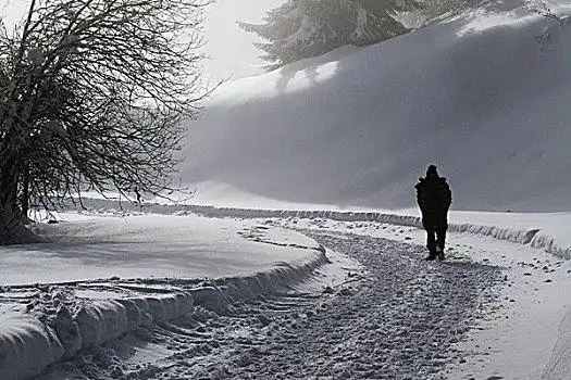 孤单,男人,走,雪,小路