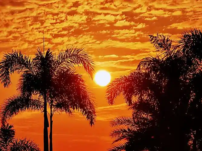 落日余晖_大全-幸福起航