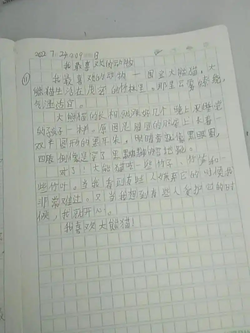暑假日记150字左右,我最喜欢的动物作文,                ——国宝大