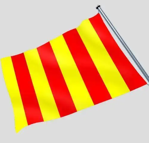 搞懂赛车场内发生什么事!就要看的懂旗语