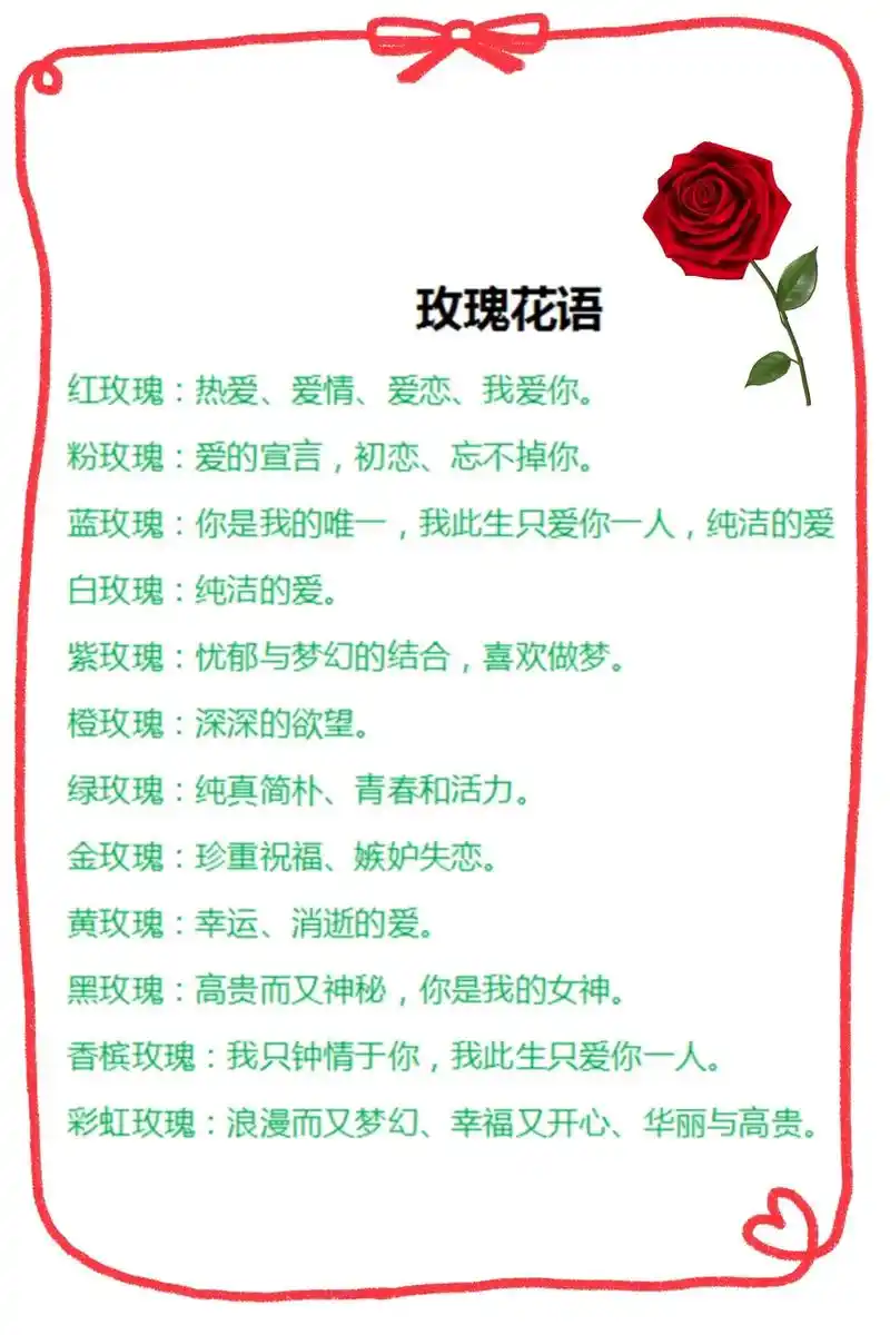 玫瑰花语!