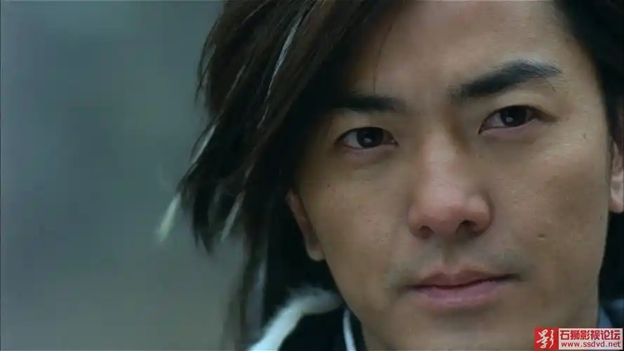 [蓝光压制][香港][动作][2000][决战紫禁之巅][刘德华/郑伊健/张家辉