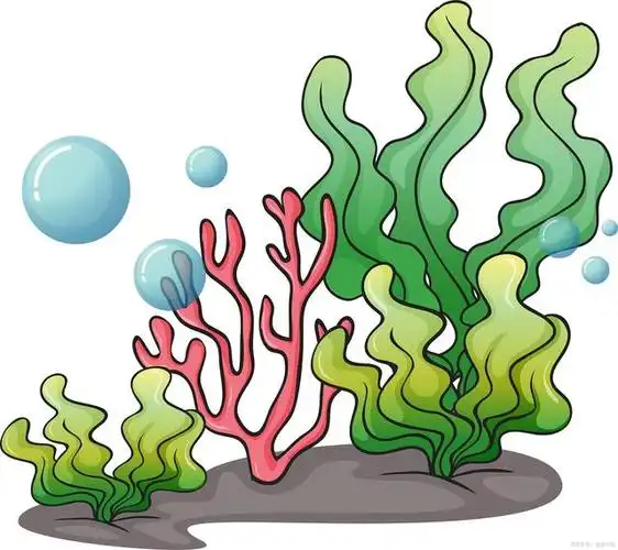 保护海草对于缓减气候变化至关重要,因为它们在海底储存了大量的碳.