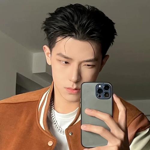 男生大背头黑色假发全头套式韩版帅气直短发发型男士整顶自然蓬松