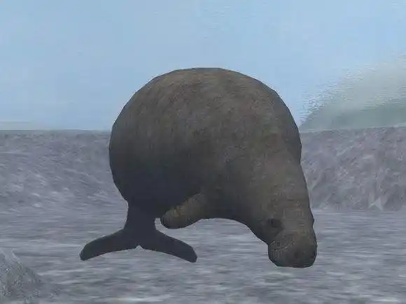 中国动物儒艮美人鱼就是它