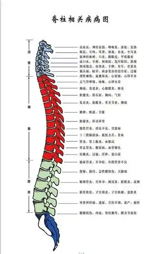 免费治愈颈椎病,腰椎病