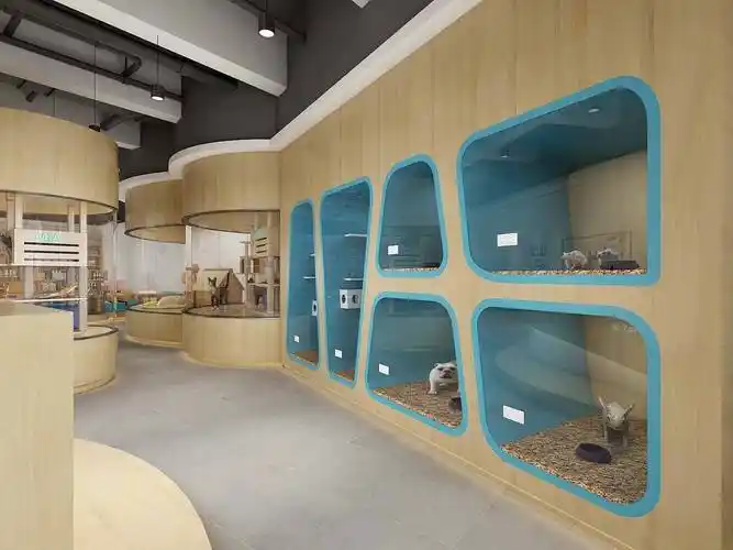 合肥宠物店装修如何装出可爱,合肥宠物店装修效果图