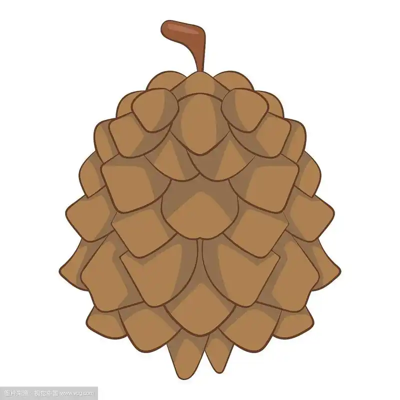 卡通风格的松果图标