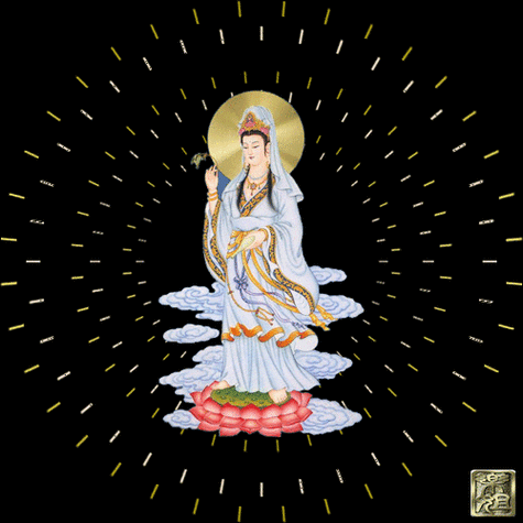 500_500gif 动态图 动图