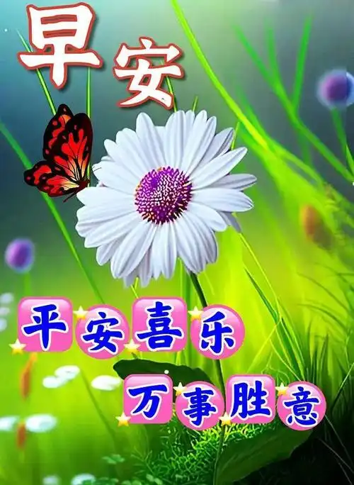 早安祝福图片早上好问候语问候总在温暖心扉祝福永远相伴相随新周愉快