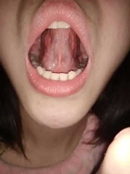 四号花店的美篇