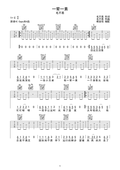 一荤一素毛不易完美吉他弹唱谱