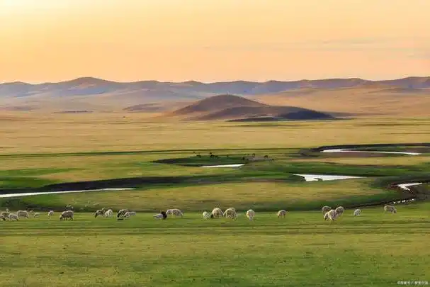 内蒙古自由行攻略及费用 内蒙古呼伦贝尔大草原五日游多少钱