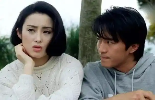 回顾嫁内地小明星的富婆港星大龄产子被婆婆嫌弃各有各苦衷