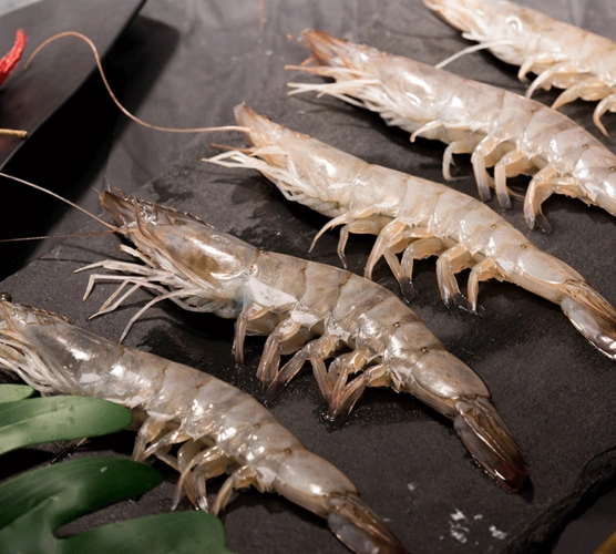 虾百馋 鲜活速冻厄瓜多尔白虾 1500g 78元包邮 (双重优惠 拍3件)