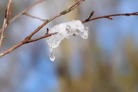融化的雪在车库图片