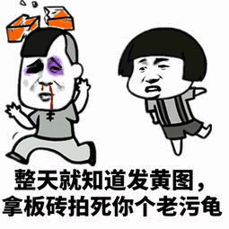 整天就知道发黄图,拿板砖拍死你个老污龟 - 斗图表情包 - 斗图神器