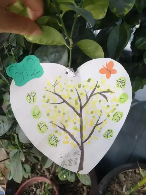 爱绿护绿我们在行动育才实验小学优秀爱绿护绿宣传卡片欣赏