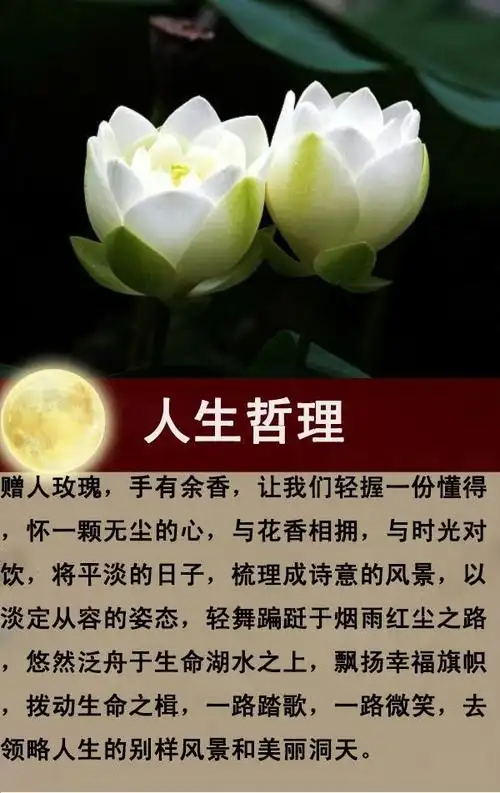 人生感悟忍一时风平浪静退一步海阔天空