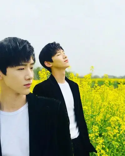 自制图 白敬亭和他的油菜花