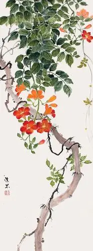 国画凌霄花图片