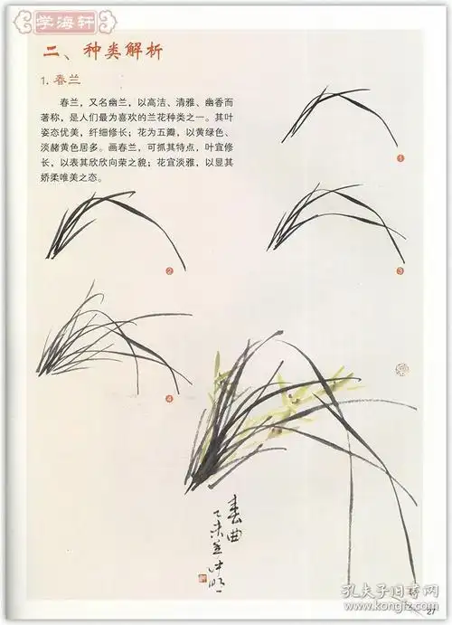 王忠民 国画水墨画入门教材书籍 国画基础运笔方式局部画法步骤解析