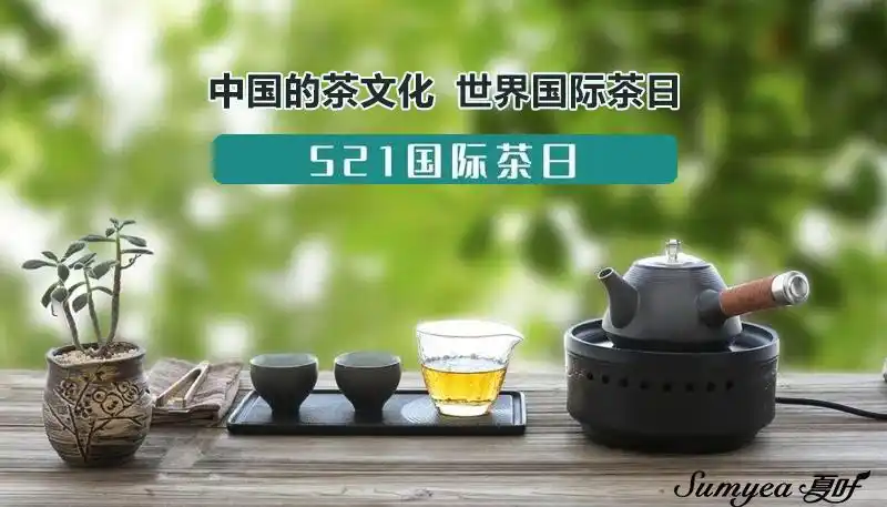 夏叶:5.21国际茶日 用科技为世界奉上一壶"好茶"