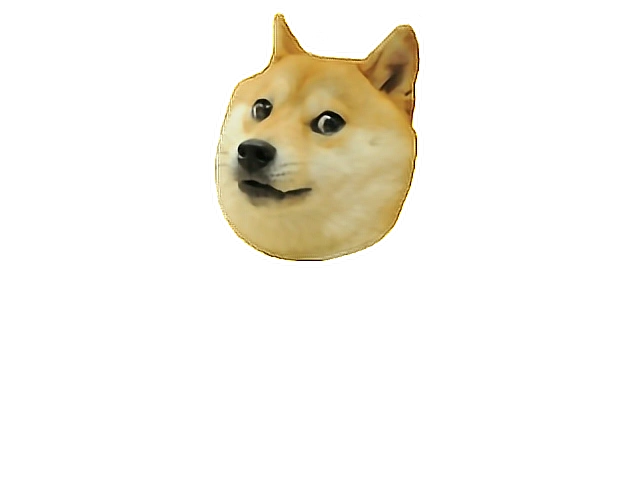 萌宠狗狗狗贴纸狗头gif动图_动态图_表情包下载_soogif