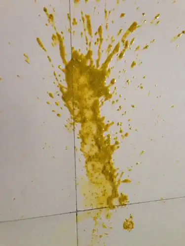 图片是今天刚拉的.