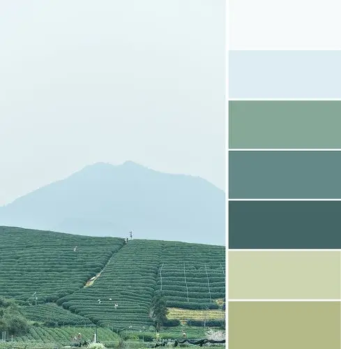 【春天的温柔和惊喜,只有你懂】----莫兰迪色系色卡