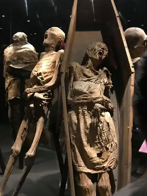 因为一部电影,去了一座城|墨西哥寻梦环游记 想去墨西哥,纯 - 即刻app