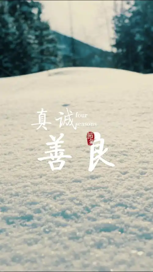 扎心情感语录#善良和真诚永远都不会错,错的是没有分清对象,所以蚊乔